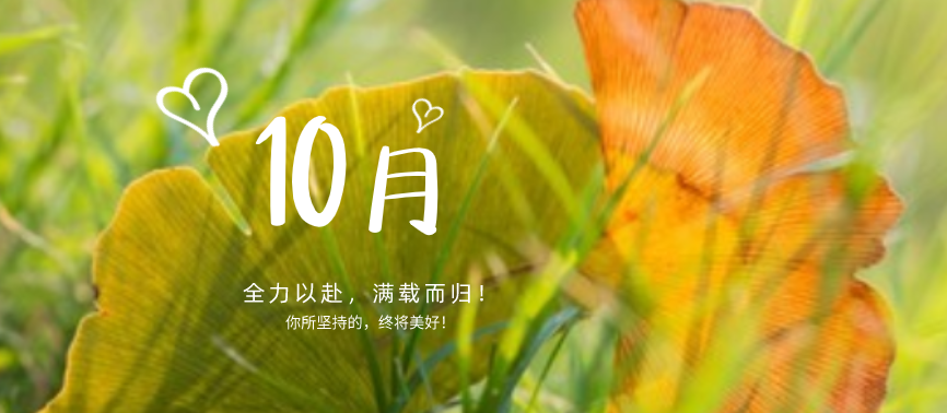 蓄力下半場|“十不我待，吾力全開”！網站設計、網站優化都快做起來！